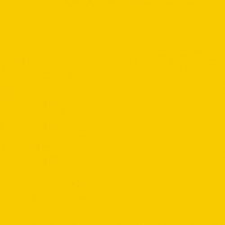 2721 Ярко-желтый